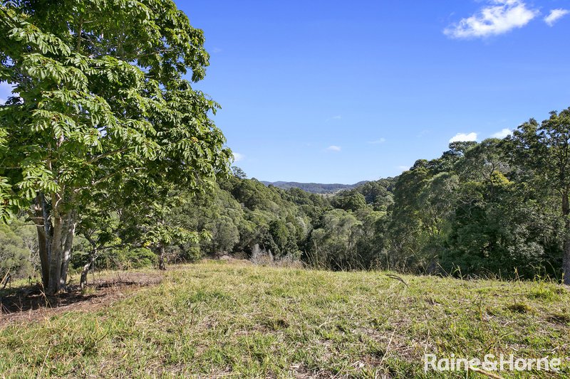 Photo - 750 Cooroy Belli Creek Road, Black Mountain QLD 4563 - Image 12