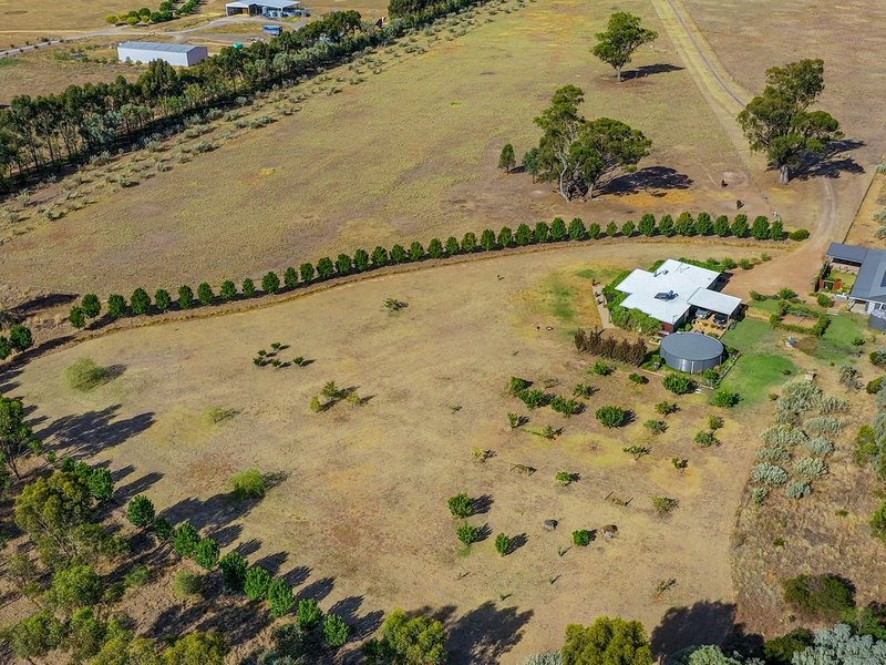 Photo - 751 Police Paddocks Road, Carlyle VIC 3685 - Image 29