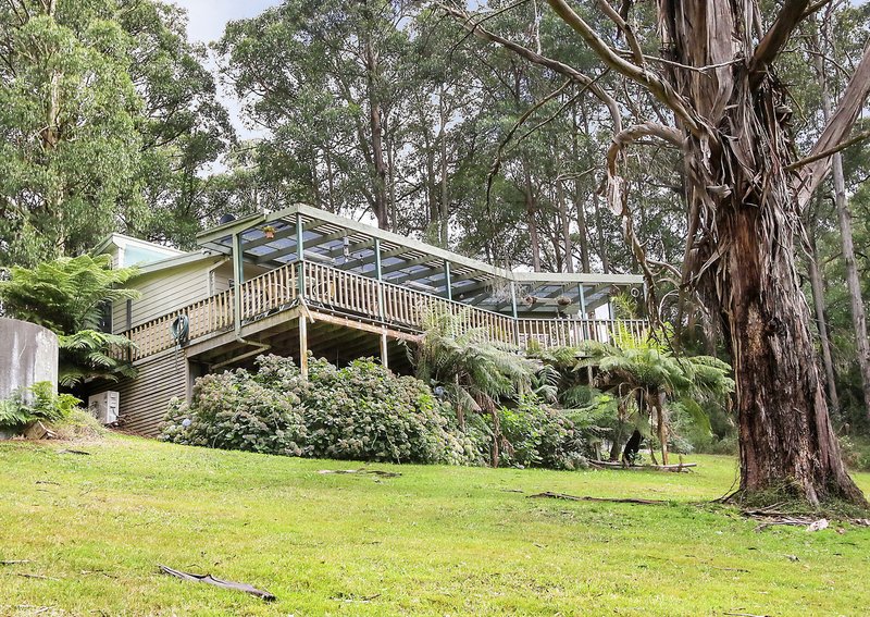 753 Myers Creek Road, Toolangi VIC 3777