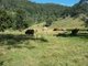 Photo - 753 Tamrookum Creek Rd , Tamrookum Creek QLD 4285 - Image 4