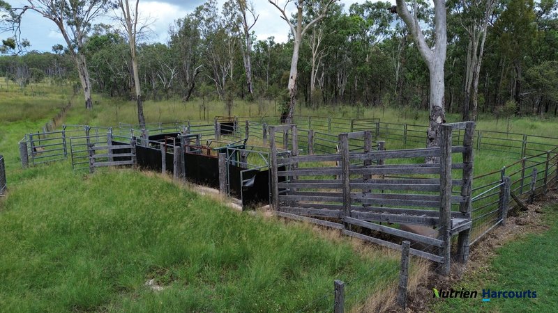 Photo - 754 Pedersens Road, Dangore QLD 4610 - Image 3