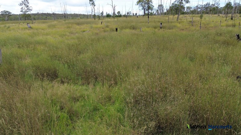 Photo - 754 Pedersens Road, Dangore QLD 4610 - Image 7