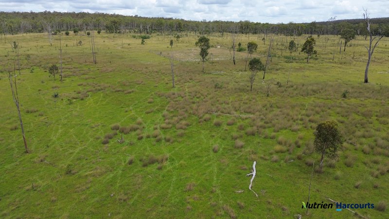 Photo - 754 Pedersens Road, Dangore QLD 4610 - Image 9