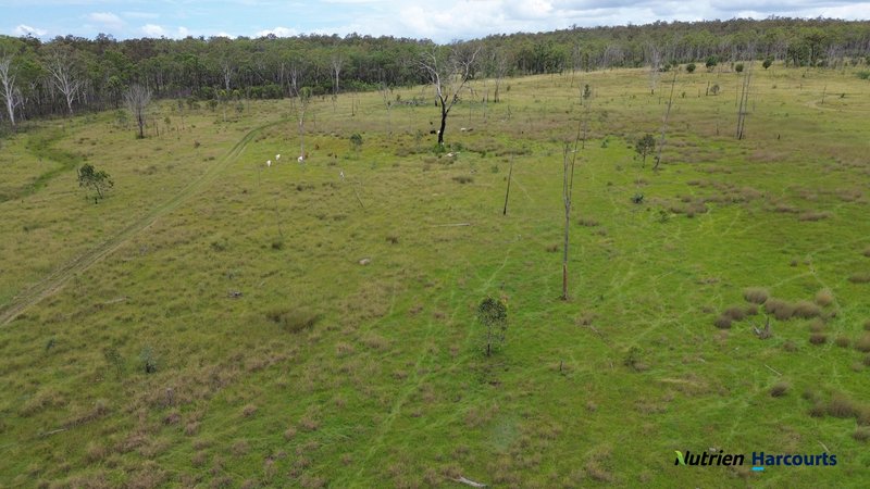 Photo - 754 Pedersens Road, Dangore QLD 4610 - Image 10