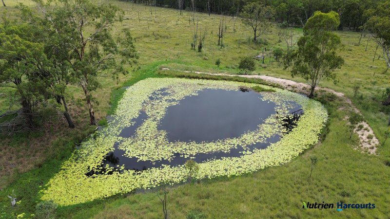 Photo - 754 Pedersens Road, Dangore QLD 4610 - Image 11