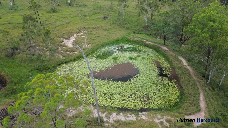 Photo - 754 Pedersens Road, Dangore QLD 4610 - Image 13