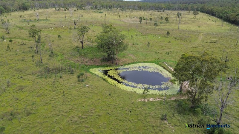 Photo - 754 Pedersens Road, Dangore QLD 4610 - Image 14