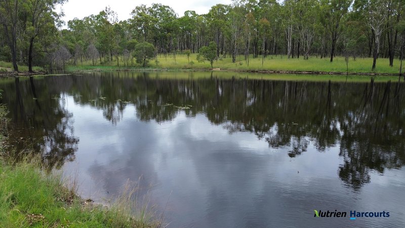 Photo - 754 Pedersens Road, Dangore QLD 4610 - Image 16