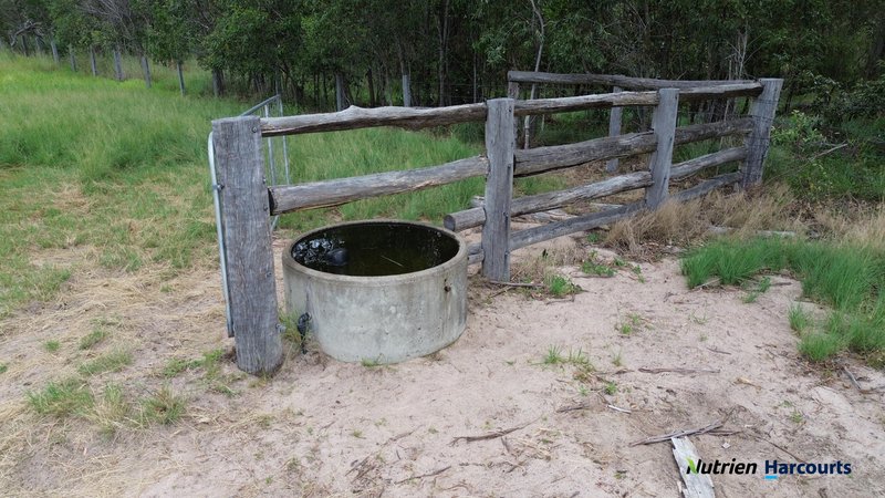 Photo - 754 Pedersens Road, Dangore QLD 4610 - Image 17