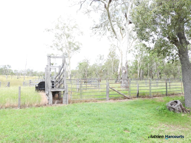 Photo - 754 Pedersens Road, Dangore QLD 4610 - Image 20
