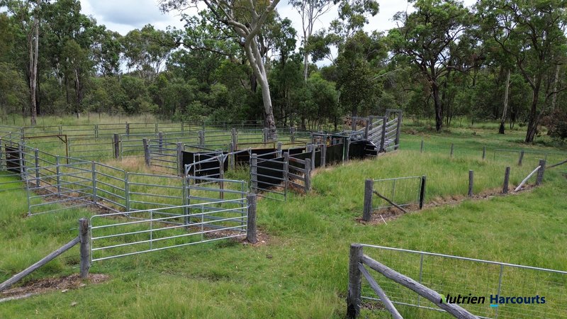 Photo - 754 Pedersens Road, Dangore QLD 4610 - Image 21