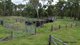 Photo - 754 Pedersens Road, Dangore QLD 4610 - Image 21