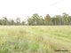 Photo - 754 Pedersens Road, Dangore QLD 4610 - Image 24