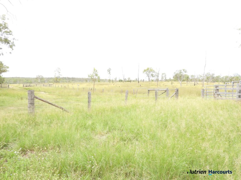 Photo - 754 Pedersens Road, Dangore QLD 4610 - Image 29