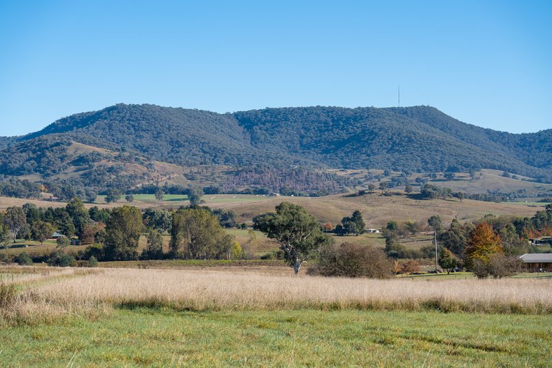 Photo - 756 Osbornes Flat Road, Allans Flat VIC 3691 - Image 4