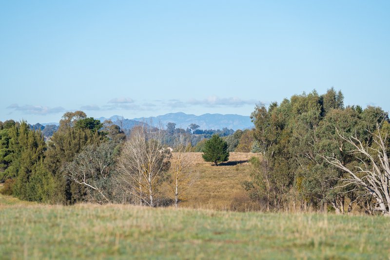 Photo - 756 Osbornes Flat Road, Allans Flat VIC 3691 - Image 5