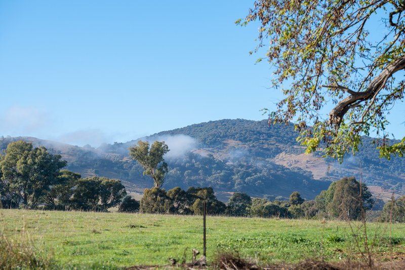 Photo - 756 Osbornes Flat Road, Allans Flat VIC 3691 - Image 6