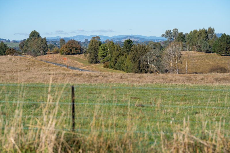 Photo - 756 Osbornes Flat Road, Allans Flat VIC 3691 - Image 7