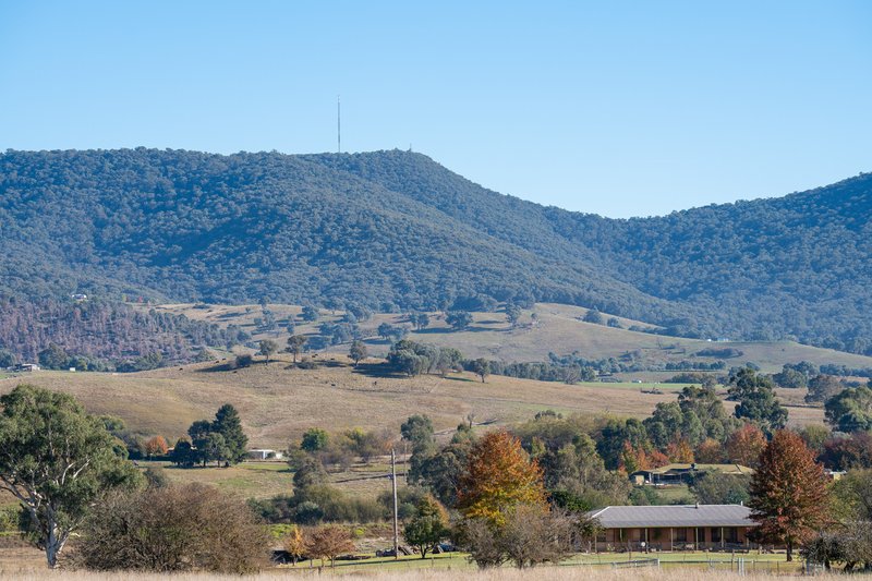 Photo - 756 Osbornes Flat Road, Allans Flat VIC 3691 - Image 9