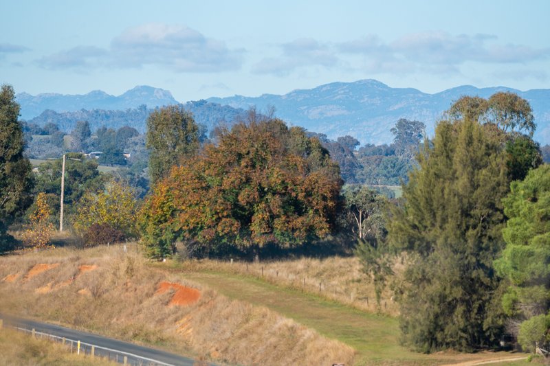 Photo - 756 Osbornes Flat Road, Allans Flat VIC 3691 - Image 10