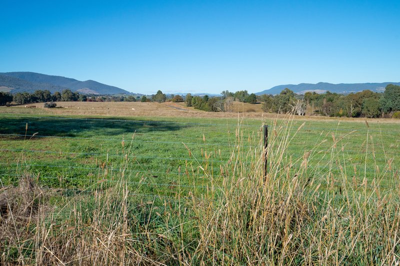 Photo - 756 Osbornes Flat Road, Allans Flat VIC 3691 - Image 11