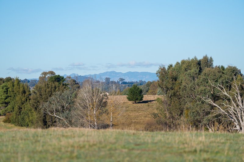 Photo - 756 Osbornes Flat Road, Allans Flat VIC 3691 - Image 15