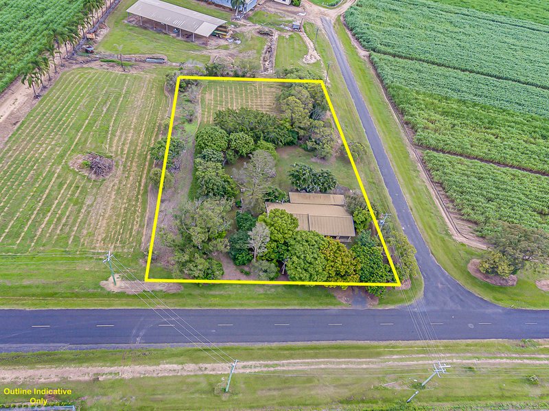 Photo - 757 Foleys Road, North Gregory QLD 4660 - Image 2