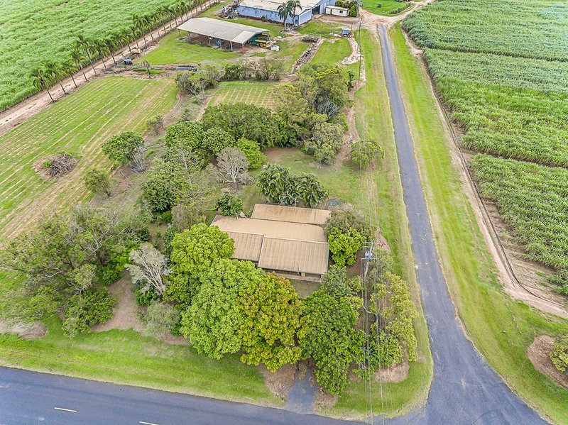 Photo - 757 Foleys Road, North Gregory QLD 4660 - Image 25