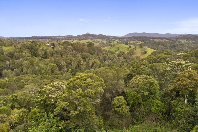 Photo - 759 Cooroy Belli Creek Road, Black Mountain QLD 4563 - Image 8