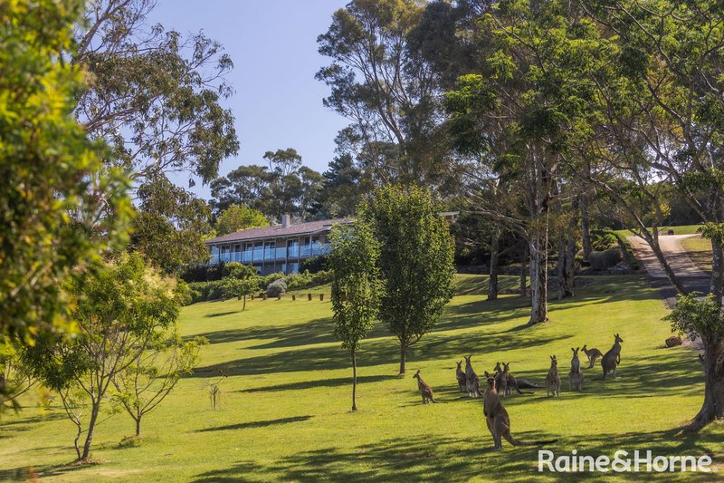 Photo - 75B Forster Drive, Bawley Point NSW 2539 - Image 21