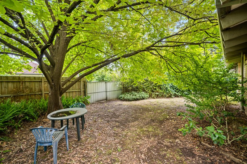 Photo - 76 Albert Avenue, Boronia VIC 3155 - Image 11