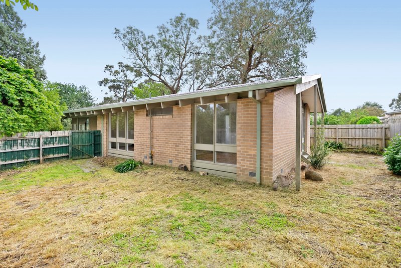 Photo - 76 Albert Avenue, Boronia VIC 3155 - Image 6