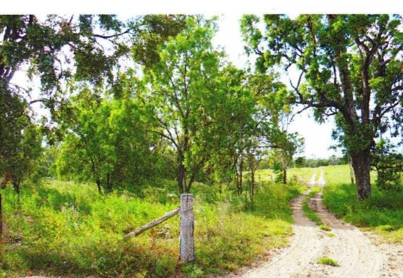 Photo - 76 Roche Creek Road, Wandoan QLD 4419 - Image 10