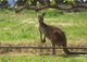 Photo - 76 St Andrews Terrace, Willunga South SA 5172 - Image 19