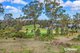 Photo - 76 Sunningdale Circuit, Medowie NSW 2318 - Image 1