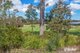 Photo - 76 Sunningdale Circuit, Medowie NSW 2318 - Image 9