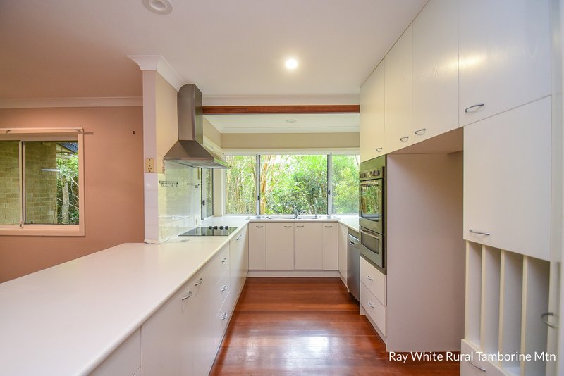 Photo - 76 Wongawallan Road, Tamborine Mountain QLD 4272 - Image 4