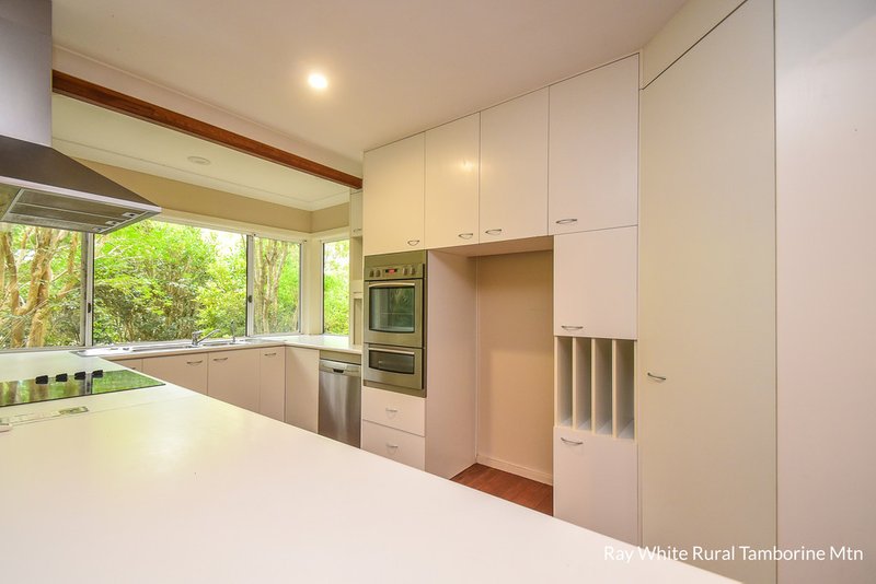 Photo - 76 Wongawallan Road, Tamborine Mountain QLD 4272 - Image 6