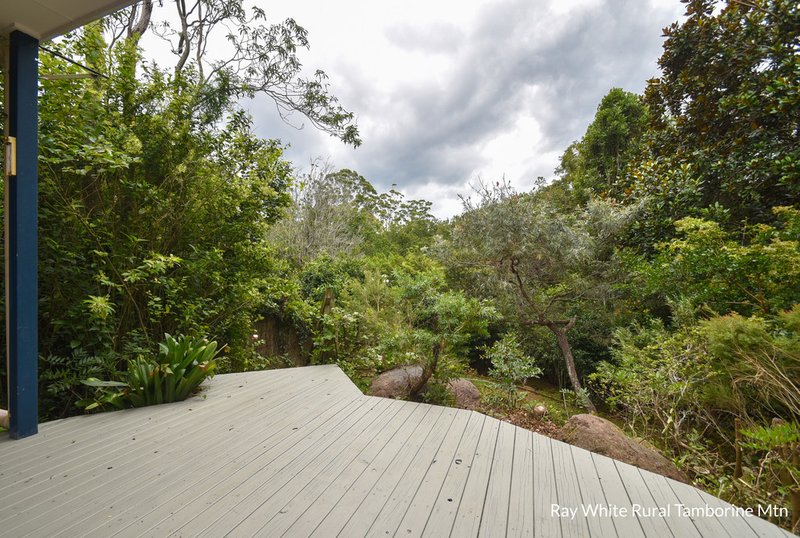 Photo - 76 Wongawallan Road, Tamborine Mountain QLD 4272 - Image 25