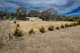 Photo - 763 Mountain Ash Road, Gundary Via , Goulburn NSW 2580 - Image 2