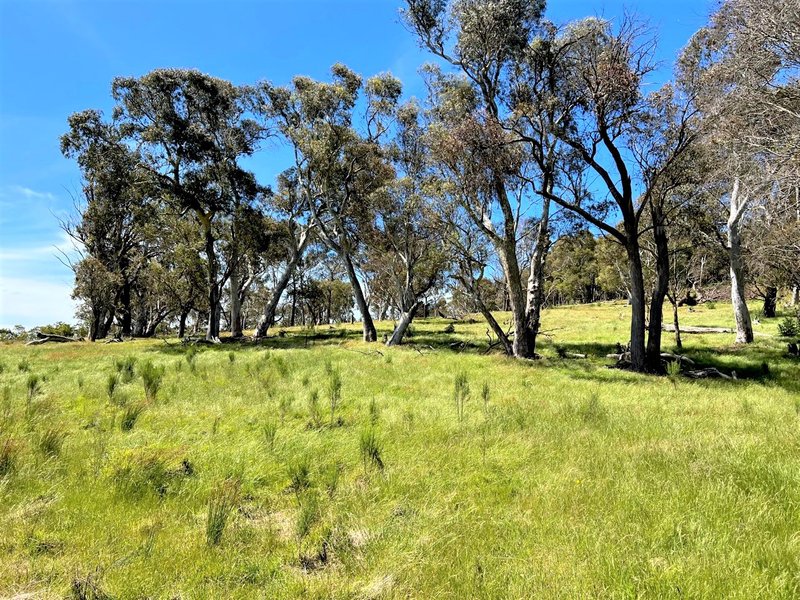 Photo - 763 Mountain Ash Road, Gundary Via , Goulburn NSW 2580 - Image 5