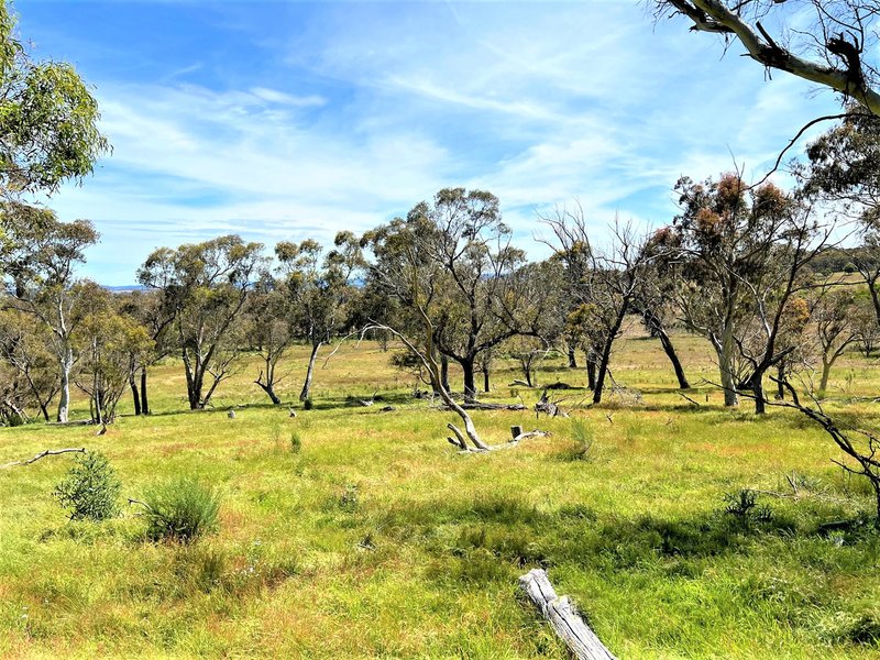 Photo - 763 Mountain Ash Road, Gundary Via , Goulburn NSW 2580 - Image 6