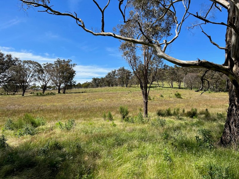 Photo - 763 Mountain Ash Road, Gundary Via , Goulburn NSW 2580 - Image 7