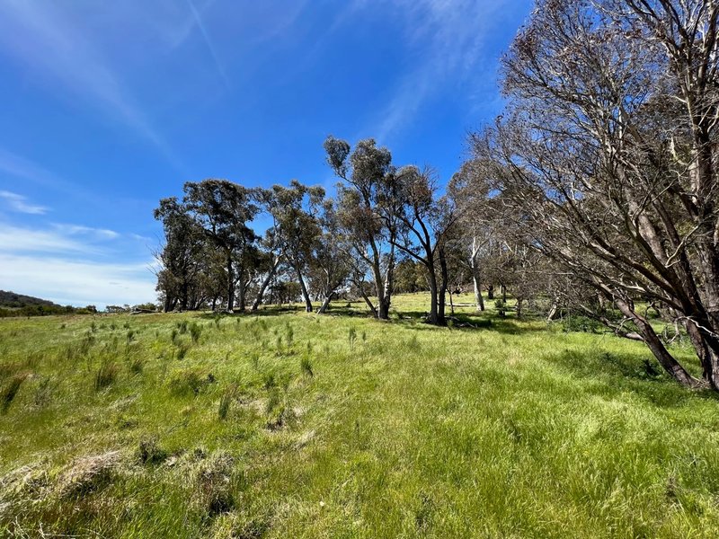 Photo - 763 Mountain Ash Road, Gundary Via , Goulburn NSW 2580 - Image 8