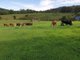 Photo - 7630 Armidale Road, Billys Creek NSW 2453 - Image 5