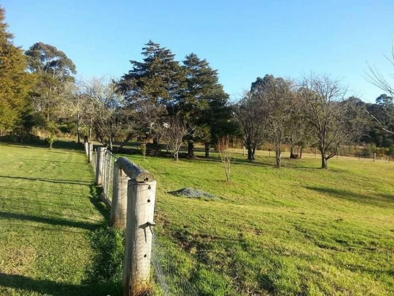 Photo - 7630 Armidale Road, Billys Creek NSW 2453 - Image 14