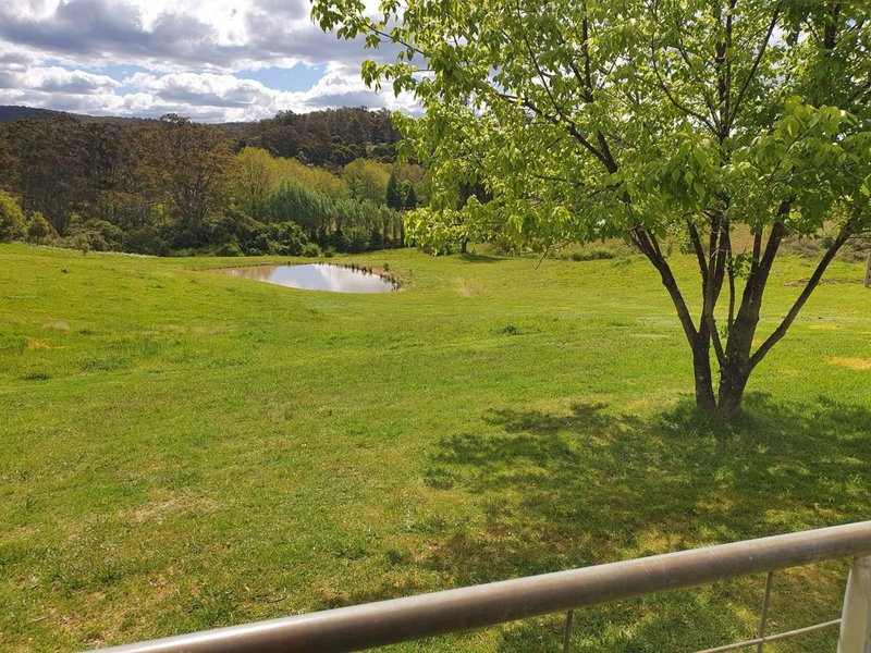 Photo - 7630 Armidale Road, Billys Creek NSW 2453 - Image 18