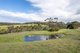 Photo - 764 Flaxley Road, Flaxley SA 5153 - Image 16