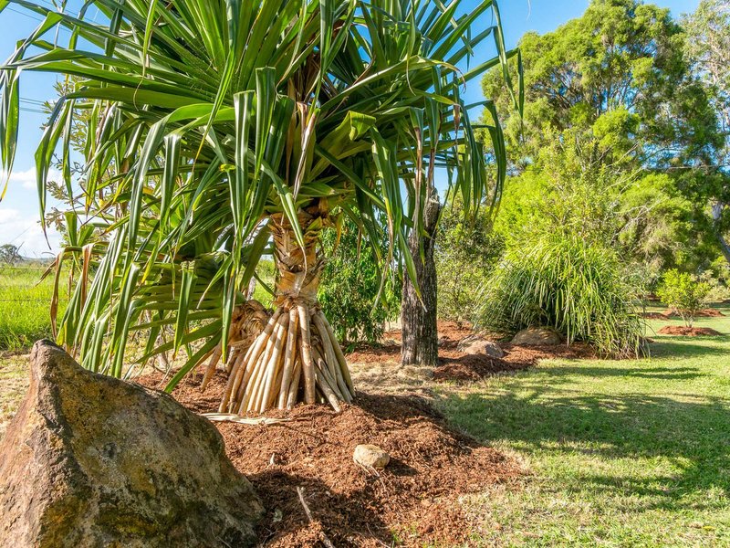 Photo - 765 Tomki Tatham Road, Tatham NSW 2471 - Image 22