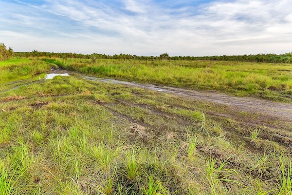 Photo - 768 Letchford Road, Darwin River NT 0841 - Image 6